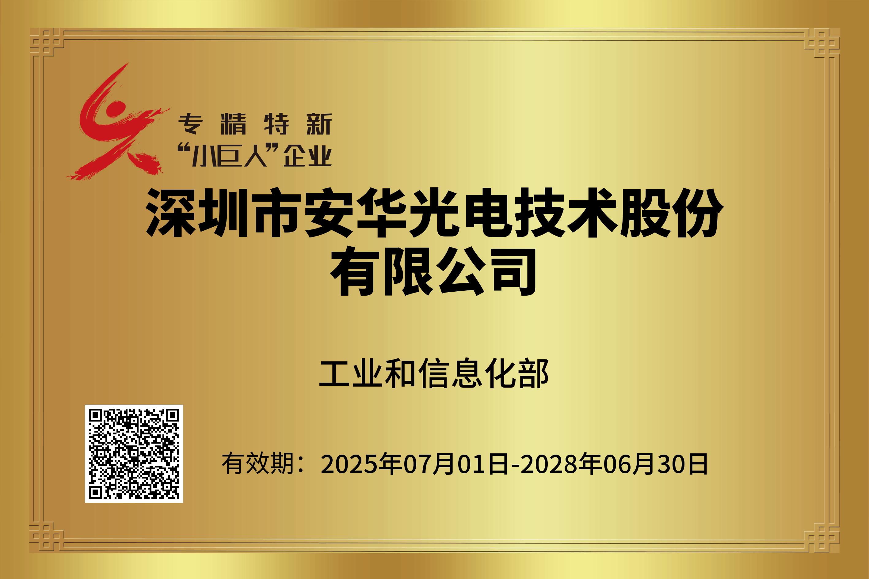 國家級專精特新小巨人